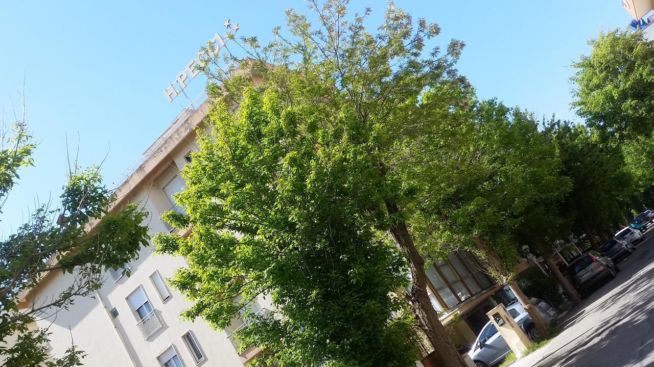 Pecci Rimini